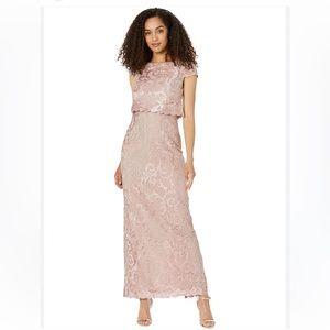 ADRIANNA PAPELL Dusty Rose Embroidered Lace Long Pop Over Column Dress size 6